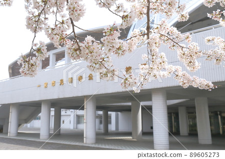 Sakura in front of the stadium (Komyoji Park Stadium, Ichinomiya City, Aichi Prefecture) Sakura in front of the stadium (Komyoji Park Stadium, Ichinomiya City, Aichi Prefecture) 89605273