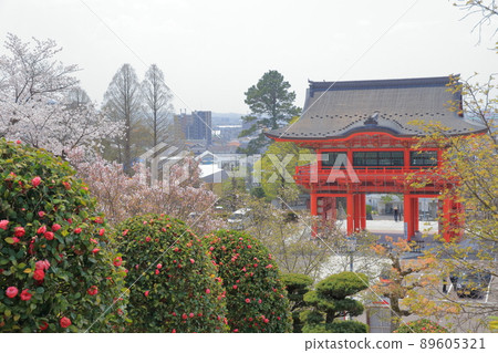 Known as a traffic safety temple (Naritayama Nagoya Betsuin Daisho-ji Temple, Inuyama Castle, Inuyama City, Aichi Prefecture) 89605321
