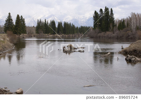 Siberian autumn beautiful landscape with the Eastern Sayan Mountains. Yellowed trees are reflected in the Irkut River. Baikal region, Buryatia, Tunka Valley 89605724