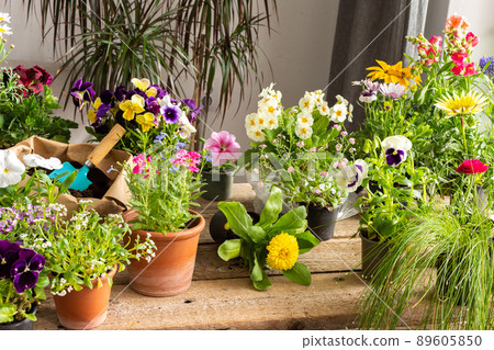 Spring decoration of a home balcony or terrace Spring decoration of a home balcony or terrace 89605850