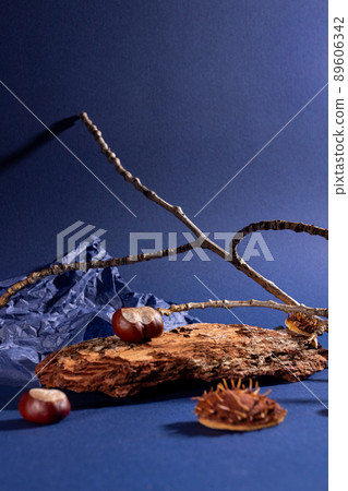 Natural background podium for cosmetic products created from wood, bark, branches and leaves on blue background.Creative modern still life Natural background podium for cosmetic products created from wood, bark, branches and leaves on blue background.Creative modern still life 89606342