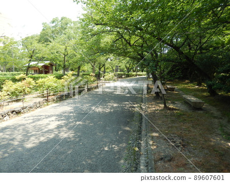 在和歌山城公園散步 89607601