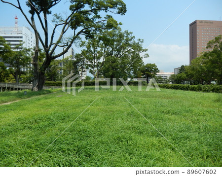 和歌山城公園的二之丸庭園 89607602