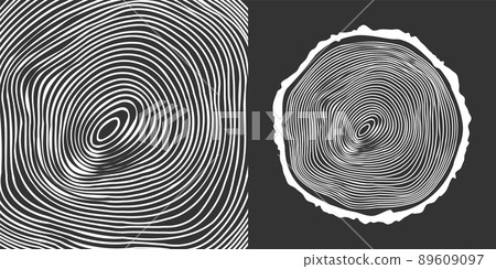 Round tree trunk cut, sawn pine or oak slice. Saw cut timber, wood. White wooden texture with tree rings. Hand drawn sketch. Vector illustration Round tree trunk cut, sawn pine or oak slice. Saw cut timber, wood. White wooden texture with tree rings. Hand drawn sketch. Vector illustration 89609097