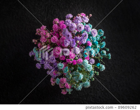 Studio shot of flower on a black background. Decorative flowers. Studio shot of flower on a black background. Decorative flowers. 89609262