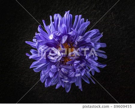 Top view of a flower on black background. Macro shoot. 89609455