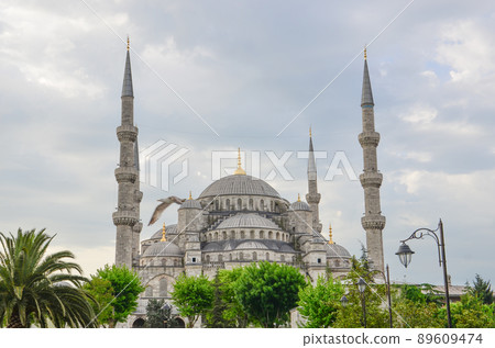 View of the famous Blue Mosque Sultan Ahmet Cami in Istanbul Turkey View of the famous Blue Mosque Sultan Ahmet Cami in Istanbul Turkey 89609474