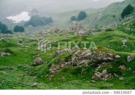 Stones protruding from under the green grass in Durmitor National Park 89610087