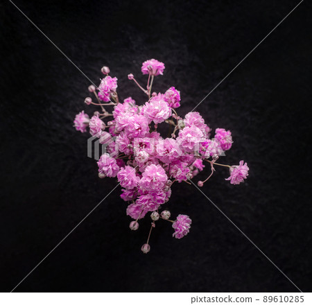 Delicate flower on black background. View from above. Delicate flower on black background. View from above. 89610285