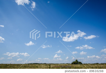 picturesque field against the blue sky picturesque field against the blue sky 89610288