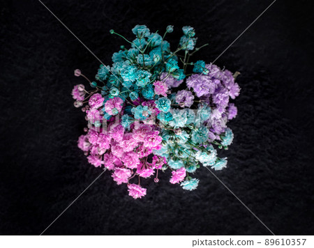 Beautiful flower on a black background. View above. Beautiful flower on a black background. View above. 89610357