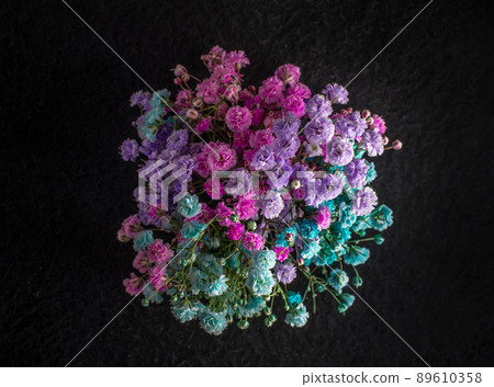One flower on black background. Flat lay, top view. One flower on black background. Flat lay, top view. 89610358