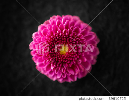 One flower on black background. View above. One flower on black background. View above. 89610725