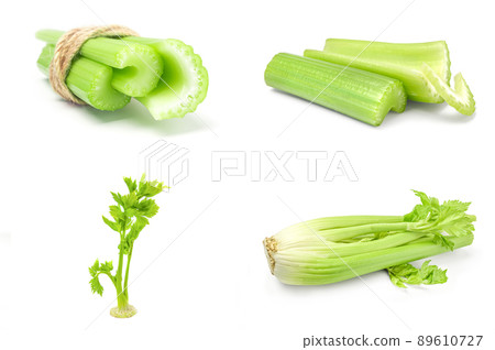 Set of celery over a white background Set of celery over a white background 89610727