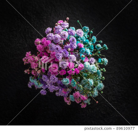 Delicate flower on a black background. On black background. Delicate flower on a black background. On black background. 89610977