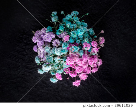 Studio shot of flower on black background. For design. Nature. 89611029