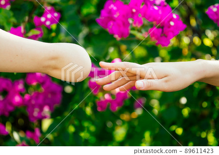 two hands touching each other on flover background two hands touching each other on flover background 89611423
