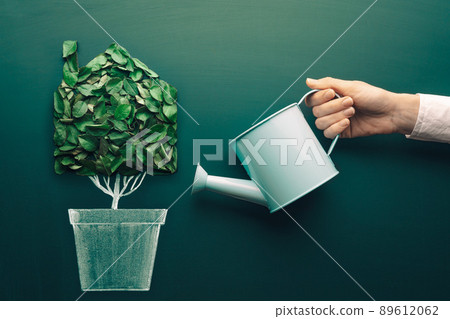 Ecology house concept. Green plant in a pot shaped like a house. Symbol of green and ecology and 89612062