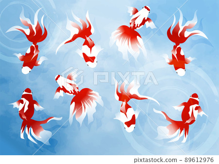 [Summer] Illustration material where multiple goldfish swim 89612976