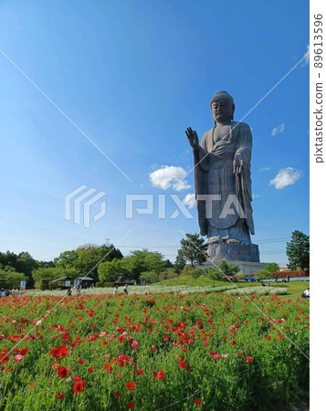 春季牛久大佛 春季牛久大佛 89613596