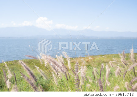 View of mountain range and the Phayao Lake with grass flower in the northern part of Thailand. 89613718