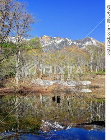 Akiyamago Tenike in early spring 89614029
