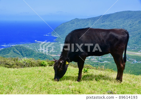 八丈島Fureai牧場 八丈島Fureai牧場 89614193