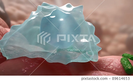 Cells immune that fight the virus Cells immune that fight the virus 89614653