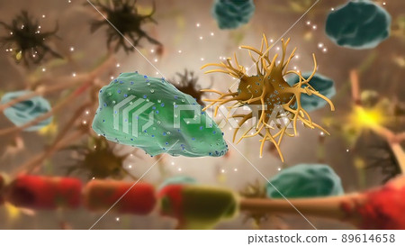 Microglia and macrophages of the central nervous system Microglia and macrophages of the central nervous system 89614658