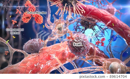 T helper cells interact on the surface of immune cells T helper cells interact on the surface of immune cells 89614704