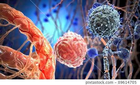 T helper cells interact on the surface of immune cells T helper cells interact on the surface of immune cells 89614705