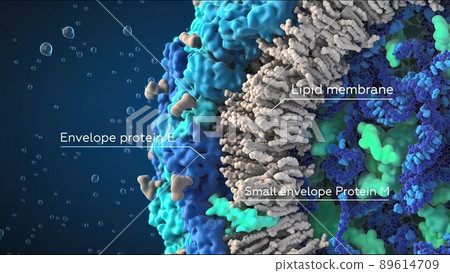 3D illustration of cell and internal structure on black background 89614709