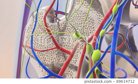 Spread of healthy cell and cancer cell 89614712