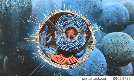 Cell structure and components, mitochondria, nucleus and cytoplasm Cell structure and components, mitochondria, nucleus and cytoplasm 89614725