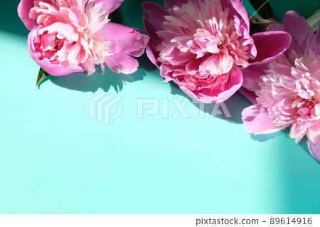 Pink peonies and leaves with hard shadow on pastel background. Trendy pattern, summer concept. Pink peonies and leaves with hard shadow on pastel background. Trendy pattern, summer concept. 89614916