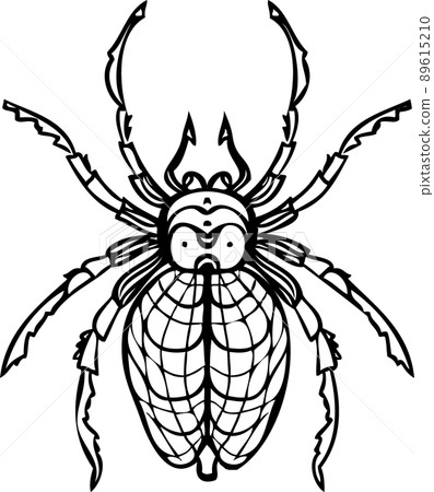 Spider realistic line vector illustrations. Hand drawing style 89615210