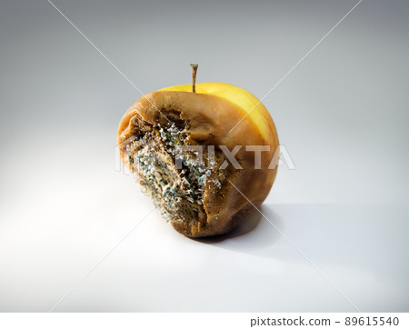 Rotten apple close-up on a white background 89615540