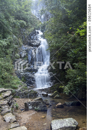 鮮綠色的城成瀑布 89615684