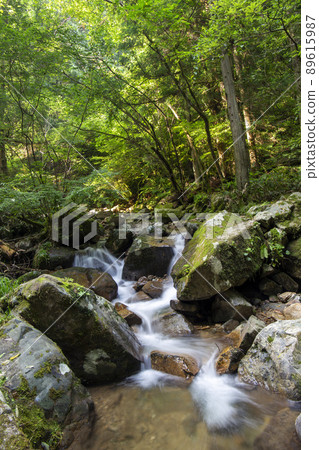 新鮮的綠色清溪 89615987