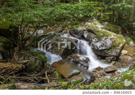 Fresh green 89616003