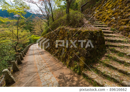 奈良吉野山、奧千本、金風神社入口處櫻花盛開 89616662