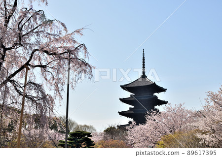 真言宗本部、護國寺、東寺（五層塔）[京都府京都市南區九條町] 89617395
