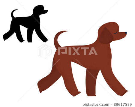 Poodle Dog Breed in Cartoon and Outline Poodle Dog Breed in Cartoon and Outline 89617559
