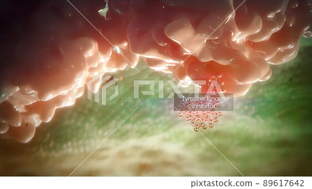 The functioning of antibodies in the immune system 89617642