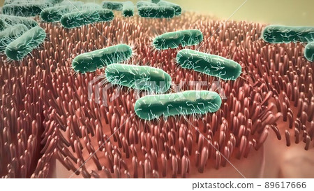 Intestinal villi with bacteria and viruses. 89617666