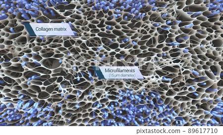 Collagen Matri offers a full line of the highest quality collagen Collagen Matri offers a full line of the highest quality collagen 89617710
