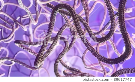 rendered 3D illustration of the Mitosis and replication of a generic biological Cell rendered 3D illustration of the Mitosis and replication of a generic biological Cell 89617747