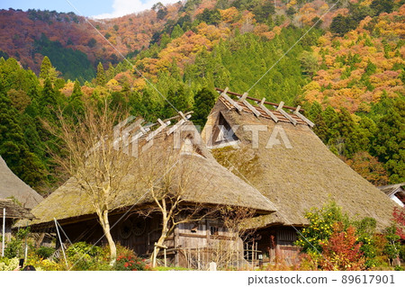 Houses with thatched roofs and autumn leaves / Kayabuki no Sato (Nantan City, Kyoto Prefecture) 89617901