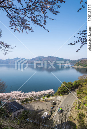 《Shiga Prefecture》 Nagahama City, Lake Biwa, Sakura on the shore road 89618333