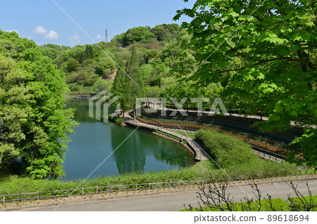 Gifu World Rose Garden garden and pond 89618694